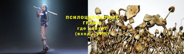 стаф Баксан