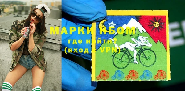 стаф Баксан